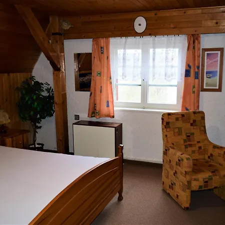 Πανσιόν George Mariánské Lázně