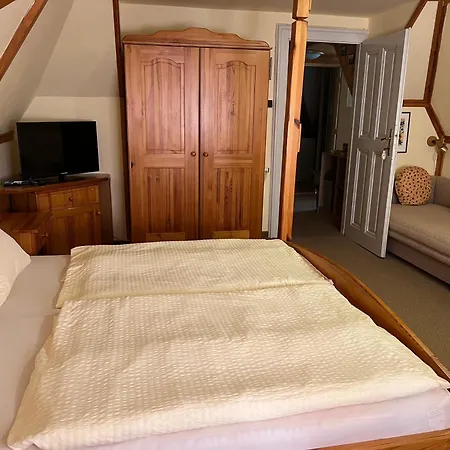 Guest house George 3*