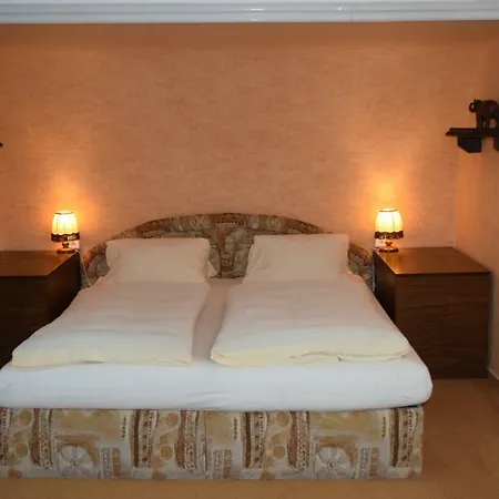 Pensionat George Mariánské Lázně