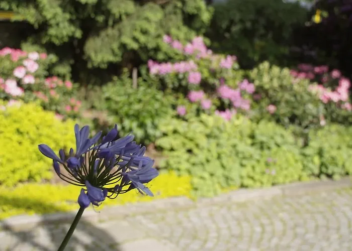 Guest house George Marianske Lazne